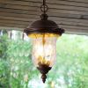 Rustic Outdoor Hanging Lantern, Weatherproof Vintage Pendant Light with Clear Glass Shade, Waterproof Exterior Lighting Fixture for Porch, Patio, or G