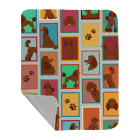 Lots of Chocolate Standard Poodle Quilted Blanket 50x60 Artwork Pattern Quilted Throw Blanket for Bed, Couch, Sofa, Soft and Lightweight