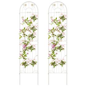 2 Pack 86.5 x 20 Inches Metal Garden Trellis for Climbing Plants