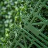 12 PCS 20" x 20" Artificial Boxwood Panels Topiary Wall Greenery Backdrop, Privacy Hedge Screen UV Protected 4Layer Roll Grass Panel Fence Decor Outdo