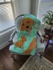 Red Fox Labrador Retriever Quilted Blanket 50x60 Artwork Pattern Quilted Throw Blanket for Bed, Couch, Sofa, Soft and Lightweight