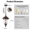 Rustic Outdoor Hanging Lantern, Weatherproof Vintage Pendant Light with Clear Glass Shade, Waterproof Exterior Lighting Fixture for Porch, Patio, or G