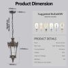 Antique Crown Outdoor Hanging Lantern, Waterproof Vintage Pendant Light with Ornate Metal Design and Clear Glass for Patio, Garden, Porch, Entryway Li